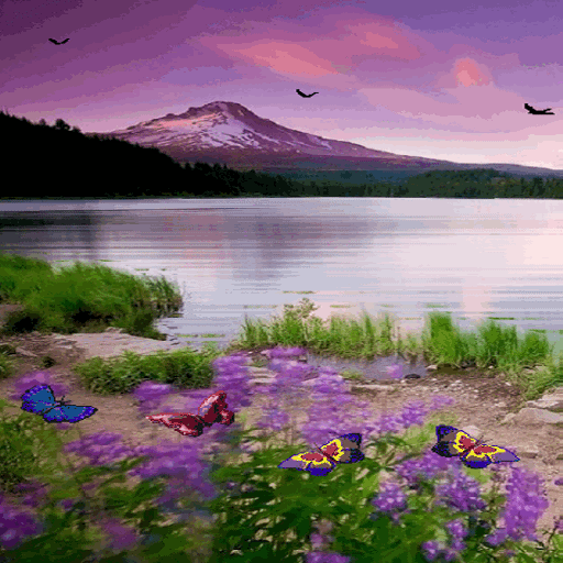 Beautiful Lake Butterfly LWP icon