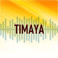 Timaya All Songs & Lyrics on 9Apps