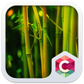 موضوع الغابات طبيعة جميل HD أيقونة