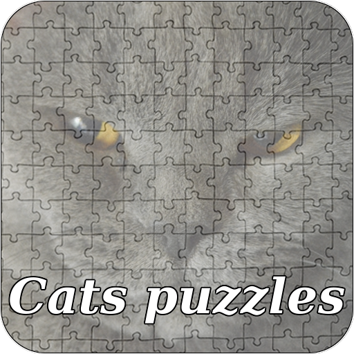 Cats puzzles icon