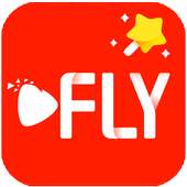 Master DFLY on 9Apps
