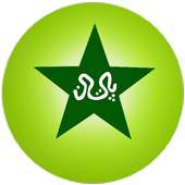 Pakistan Cricket Scores