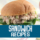 Sandwich Recipes! icon
