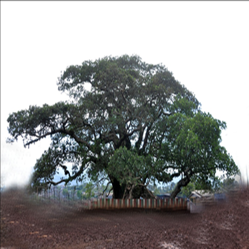 Learn Tambarsa icon