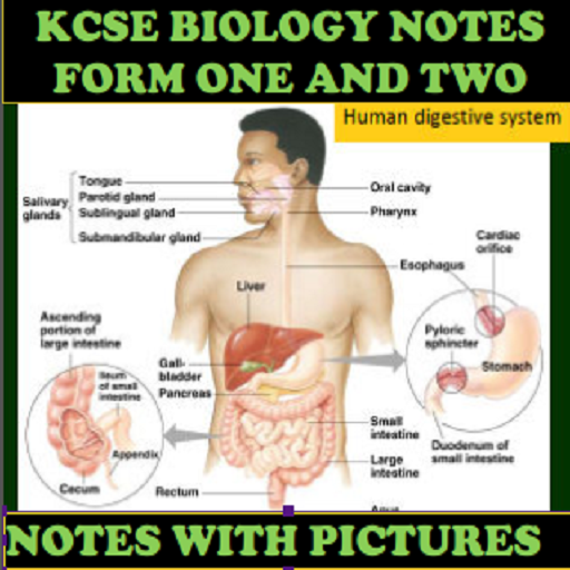 FORM 1 AND 2 BIOLOGY NOTES   PICTURE EXPLANATIONS icon