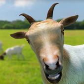 Totes My Goat icon