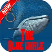 Blue Whale Game