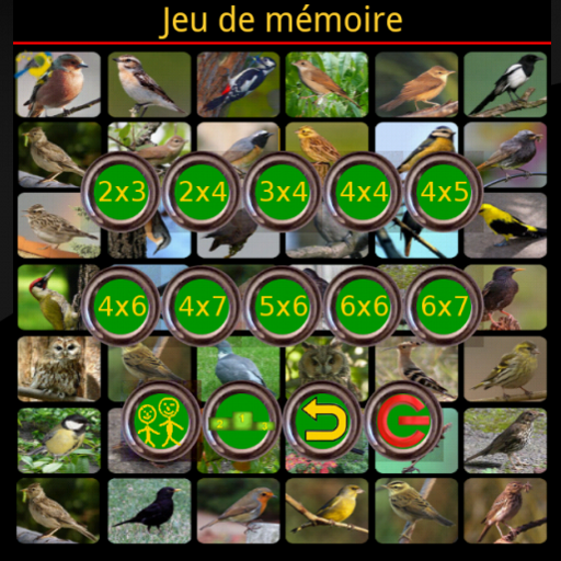 True Birds Memory Game Free icon