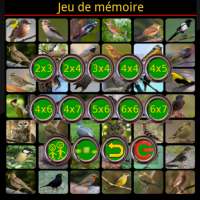 True Birds Memory Game Free