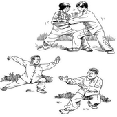 learn wushu icon