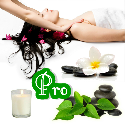 Body Massage Vibration Pro icon