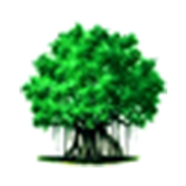 ViMEET Connect! иконка