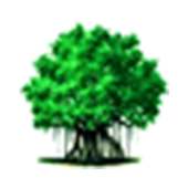 ViMEET Connect! on 9Apps