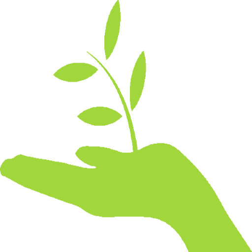 Plantas Medicinales  Usos Para Enfermedades icon