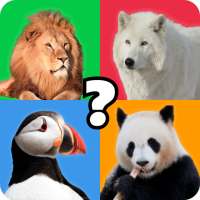 Animal Quiz Guess their Answer