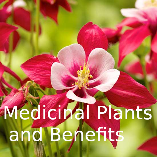 Medicinal Plants and Benefits आइकन