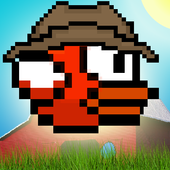 Country Bird icon