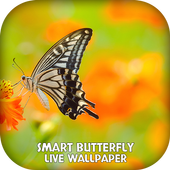 Smart Butterfly LWP icon