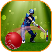 Indian Cricket: T20 Premier League icon