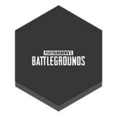 PUBG Guide