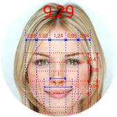 GRFace - Golden Ratio Face