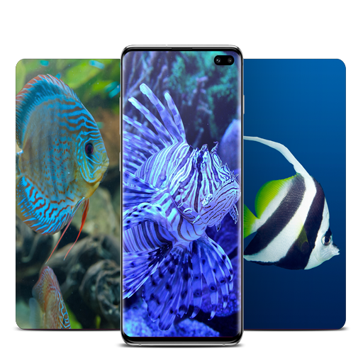 Fish Wallpaper icon