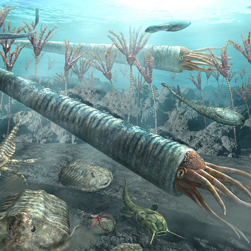 Cameroceras Simulator icon