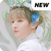 Wanna One Jisung wallpaper Kpop HD new icon