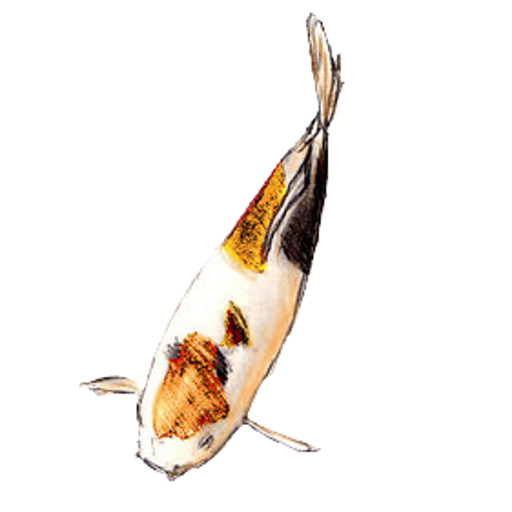 MyAquarium Fish tank manager icon