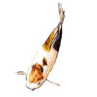 MyAquarium Fish tank manager on 9Apps