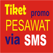 pesan tiket pesawat promo icon
