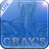 Gray's Anatomy Lite icon