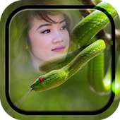 Snake Photo Frames