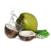 Como Plantar Coco icon