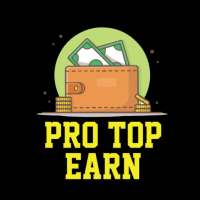 Pro Top Earn-Quickly Earning  System