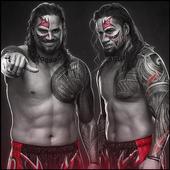 WWE Tag Team Wrestling Champions Fight 2018 icon