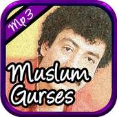 Muslum Gurses şarkılarını - Net Olmadan on 9Apps