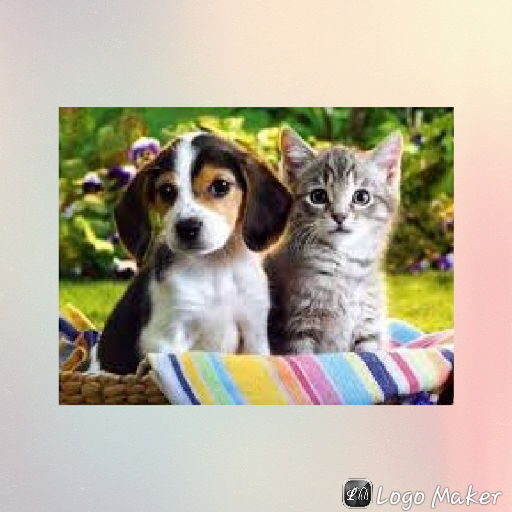 cats and dogs wallpapers icon