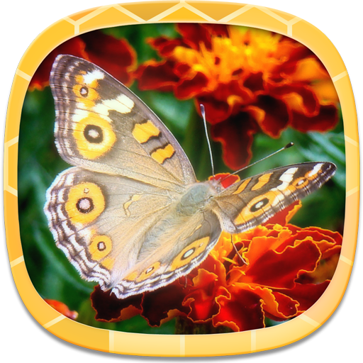 Wallpapers for Mobile Phones icon