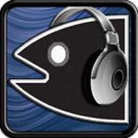 Motion Music Player (MMP)