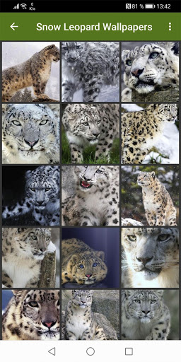 Снежный Леопард Обои скриншот 3