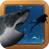 Hungry Angry Shark Attack