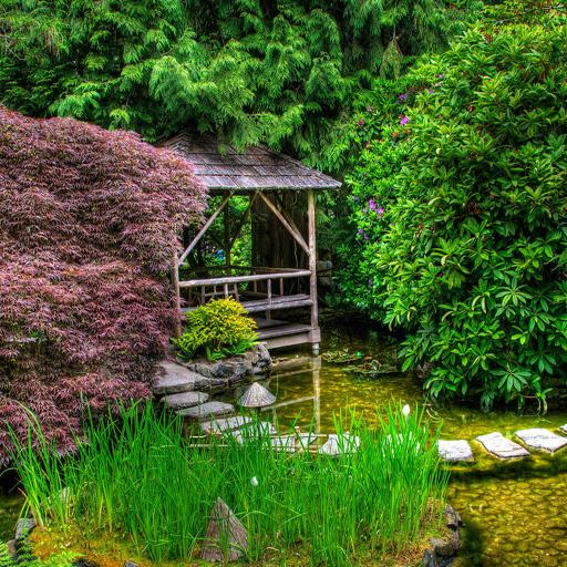 Park Live Wallpaper icon