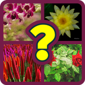 Thinking game 4 pics 1 word icon