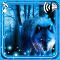 Wolves Night Live Wallpaper on 9Apps