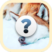 Guess the animals icon