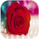 موسوعة صور ورود أيقونة