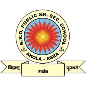 srd public school icon