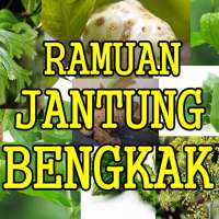 Ramuan Alami Jantung Bengkak Tanapa Efek Samping on 9Apps