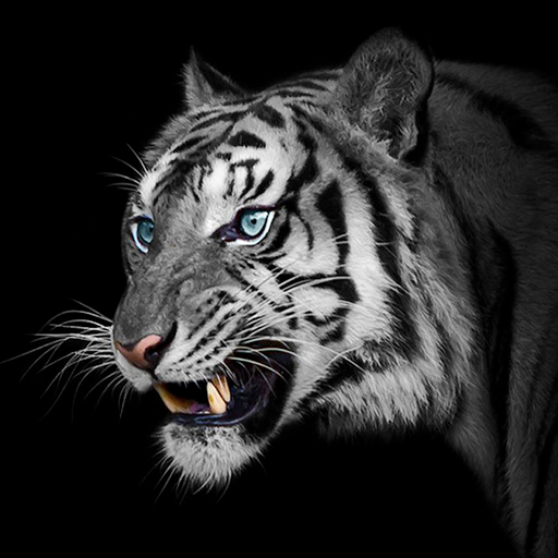 White Tiger Wallpapers icon